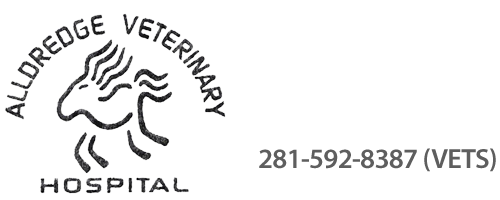 Alldredge Veterinary Hospital